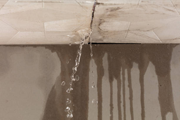 Professional Burst Pipe Cleanup technician working in Bethune, SC